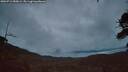 ./images/calvert/fitz-hugh-hecate/20260711/fitz-hugh-hecate20260711_050002M.jpg