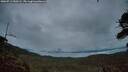 ./images/calvert/fitz-hugh-hecate/20260711/fitz-hugh-hecate20260711_050502M.jpg