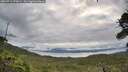 ./images/calvert/fitz-hugh-hecate/20260711/fitz-hugh-hecate20260711_070001M.jpg