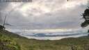 ./images/calvert/fitz-hugh-hecate/20260711/fitz-hugh-hecate20260711_070501M.jpg