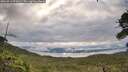 ./images/calvert/fitz-hugh-hecate/20260711/fitz-hugh-hecate20260711_071001M.jpg