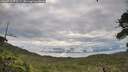 ./images/calvert/fitz-hugh-hecate/20260711/fitz-hugh-hecate20260711_072501M.jpg