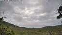 ./images/calvert/fitz-hugh-hecate/20260711/fitz-hugh-hecate20260711_074001M.jpg