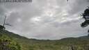 ./images/calvert/fitz-hugh-hecate/20260711/fitz-hugh-hecate20260711_074502M.jpg
