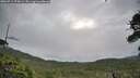 ./images/calvert/fitz-hugh-hecate/20260711/fitz-hugh-hecate20260711_075001M.jpg