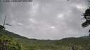 ./images/calvert/fitz-hugh-hecate/20260711/fitz-hugh-hecate20260711_081001M.jpg