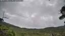 ./images/calvert/fitz-hugh-hecate/20260711/fitz-hugh-hecate20260711_081501M.jpg