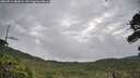 ./images/calvert/fitz-hugh-hecate/20260711/fitz-hugh-hecate20260711_082002M.jpg
