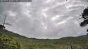 ./images/calvert/fitz-hugh-hecate/20260711/fitz-hugh-hecate20260711_082501M.jpg
