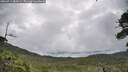 ./images/calvert/fitz-hugh-hecate/20260711/fitz-hugh-hecate20260711_085001M.jpg