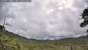 ./images/calvert/fitz-hugh-hecate/20260711/fitz-hugh-hecate20260711_090001M.jpg