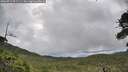 ./images/calvert/fitz-hugh-hecate/20260711/fitz-hugh-hecate20260711_091501M.jpg