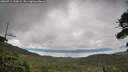 ./images/calvert/fitz-hugh-hecate/20260711/fitz-hugh-hecate20260711_100002M.jpg