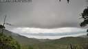 ./images/calvert/fitz-hugh-hecate/20260711/fitz-hugh-hecate20260711_112001M.jpg