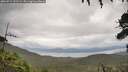 ./images/calvert/fitz-hugh-hecate/20260711/fitz-hugh-hecate20260711_121502M.jpg