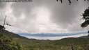./images/calvert/fitz-hugh-hecate/20260711/fitz-hugh-hecate20260711_123502M.jpg