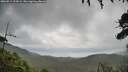 ./images/calvert/fitz-hugh-hecate/20260711/fitz-hugh-hecate20260711_124501M.jpg
