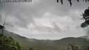 ./images/calvert/fitz-hugh-hecate/20260711/fitz-hugh-hecate20260711_130001M.jpg