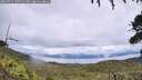 ./images/calvert/fitz-hugh-hecate/20260711/fitz-hugh-hecate20260711_135501M.jpg