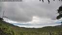 ./images/calvert/fitz-hugh-hecate/20260711/fitz-hugh-hecate20260711_142502M.jpg