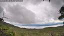 ./images/calvert/fitz-hugh-hecate/20260711/fitz-hugh-hecate20260711_163501M.jpg