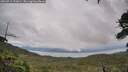 ./images/calvert/fitz-hugh-hecate/20260711/fitz-hugh-hecate20260711_191001M.jpg