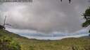 ./images/calvert/fitz-hugh-hecate/20260711/fitz-hugh-hecate20260711_195001M.jpg