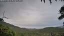 ./images/calvert/fitz-hugh-hecate/20260711/fitz-hugh-hecate20260711_212501M.jpg