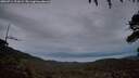 ./images/calvert/fitz-hugh-hecate/20260711/fitz-hugh-hecate20260711_221002M.jpg