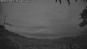 ./images/calvert/fitz-hugh-hecate/20260711/fitz-hugh-hecate20260711_223501M.jpg