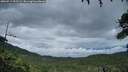 ./images/calvert/fitz-hugh-hecate/20260712/fitz-hugh-hecate20260712_052501M.jpg