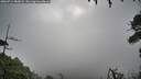 ./images/calvert/fitz-hugh-hecate/20260712/fitz-hugh-hecate20260712_080001M.jpg