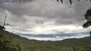 ./images/calvert/fitz-hugh-hecate/20260712/fitz-hugh-hecate20260712_083501M.jpg