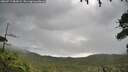 ./images/calvert/fitz-hugh-hecate/20260712/fitz-hugh-hecate20260712_084501M.jpg