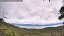 ./images/calvert/fitz-hugh-hecate/20260712/fitz-hugh-hecate20260712_113502M.jpg