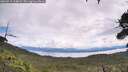 ./images/calvert/fitz-hugh-hecate/20260712/fitz-hugh-hecate20260712_114002M.jpg