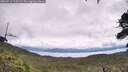 ./images/calvert/fitz-hugh-hecate/20260712/fitz-hugh-hecate20260712_115501M.jpg