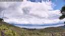 ./images/calvert/fitz-hugh-hecate/20260712/fitz-hugh-hecate20260712_122501M.jpg