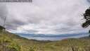 ./images/calvert/fitz-hugh-hecate/20260712/fitz-hugh-hecate20260712_155001M.jpg