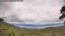 ./images/calvert/fitz-hugh-hecate/20260712/fitz-hugh-hecate20260712_163502M.jpg