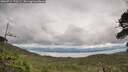 ./images/calvert/fitz-hugh-hecate/20260712/fitz-hugh-hecate20260712_170501M.jpg