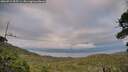 ./images/calvert/fitz-hugh-hecate/20260712/fitz-hugh-hecate20260712_205501M.jpg