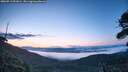 ./images/calvert/fitz-hugh-hecate/20260713/fitz-hugh-hecate20260713_051001M.jpg