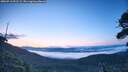 ./images/calvert/fitz-hugh-hecate/20260713/fitz-hugh-hecate20260713_051502M.jpg