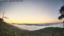 ./images/calvert/fitz-hugh-hecate/20260713/fitz-hugh-hecate20260713_054001M.jpg