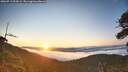 ./images/calvert/fitz-hugh-hecate/20260713/fitz-hugh-hecate20260713_055002M.jpg