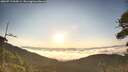 ./images/calvert/fitz-hugh-hecate/20260713/fitz-hugh-hecate20260713_064501M.jpg