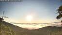 ./images/calvert/fitz-hugh-hecate/20260713/fitz-hugh-hecate20260713_065002M.jpg