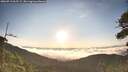 ./images/calvert/fitz-hugh-hecate/20260713/fitz-hugh-hecate20260713_065501M.jpg