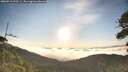 ./images/calvert/fitz-hugh-hecate/20260713/fitz-hugh-hecate20260713_070501M.jpg